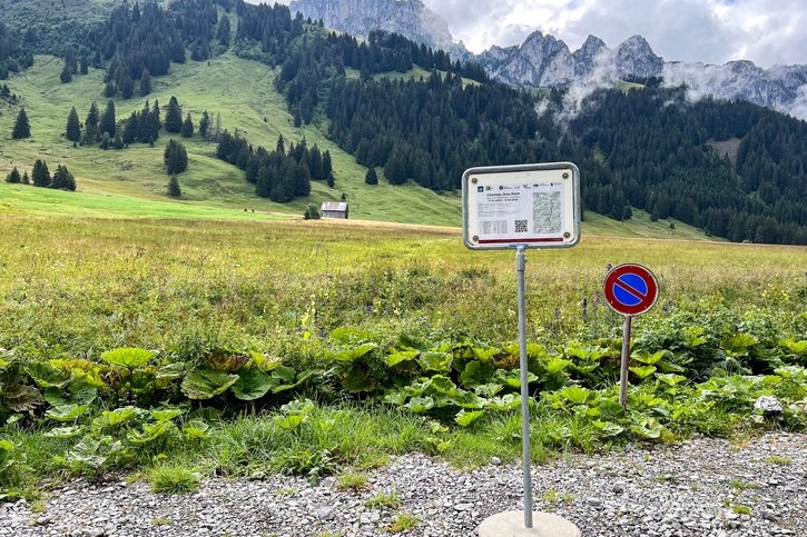 Transports: La ligne de bus alpin entre Charmey et la vallée du Gros Mont de retour cet été