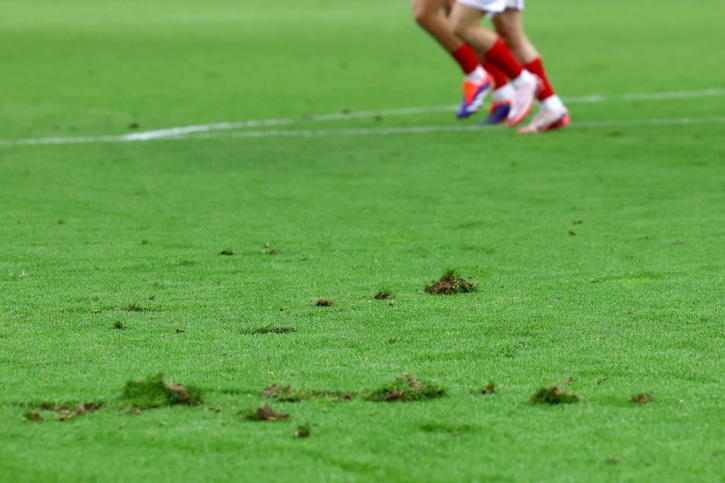 La pelouse du stade de Francfort pose problème