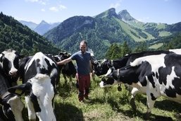 Sur nos montagnes (2/7): Il a trouvé «l’équilibre parfait» sur les hauts d’Albeuve